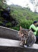 Þriðjudagskvöldferðir Fjallahjólaklúbbsins 2018