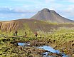 Höskuldarvellir 3. október 2021