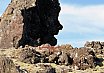 Höskuldarvellir 3. október 2021