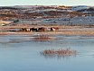 2021 Úthlíð - ferðamennska að vetri