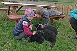 L&ouml;mbunum var klappa&eth; &aacute; Gr&yacute;tubakka.  - Fj&ouml;lskyldufer&eth; &aacute; Nor&eth;urlandi