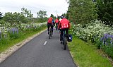 &THORN;ri&eth;judagskv&ouml;ldfer&eth;ir &Iacute;FHK 2020