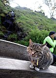 &THORN;ri&eth;judagskv&ouml;ldfer&eth;ir Fjallahj&oacute;lakl&uacute;bbsins 2018