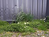 &THORN;ri&eth;judagskv&ouml;ldfer&eth;ir &Iacute;FHK 2020