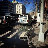 Hj&oacute;last&iacute;gur - L&ouml;ggan &aacute; Dunkin Donuts - &Oacute;lafur - Hj&oacute;la&eth; &iacute; New York