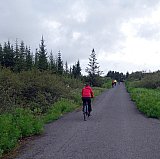 30 &aacute;ra afm&aelig;lish&aacute;t&iacute;&eth; &Iacute;FHK