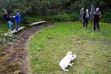 30 &aacute;ra afm&aelig;lish&aacute;t&iacute;&eth; &Iacute;FHK