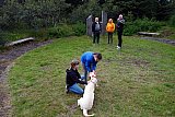 30 &aacute;ra afm&aelig;lish&aacute;t&iacute;&eth; &Iacute;FHK