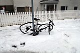 &Uacute;tbur&eth;ur Hj&oacute;lhestsins