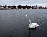 &Uacute;tbur&eth;ur Hj&oacute;lhestsins
