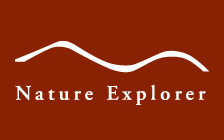 nature explorer