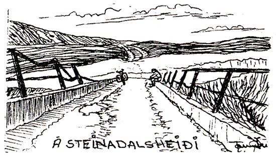 Á Steinadalsheiði